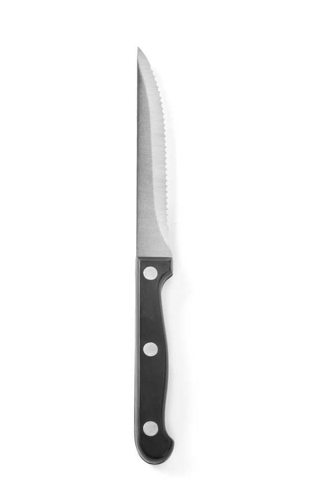 Steak-Messer - 6 Stück Profi Line (L)21cm